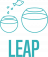 the leap academy logo